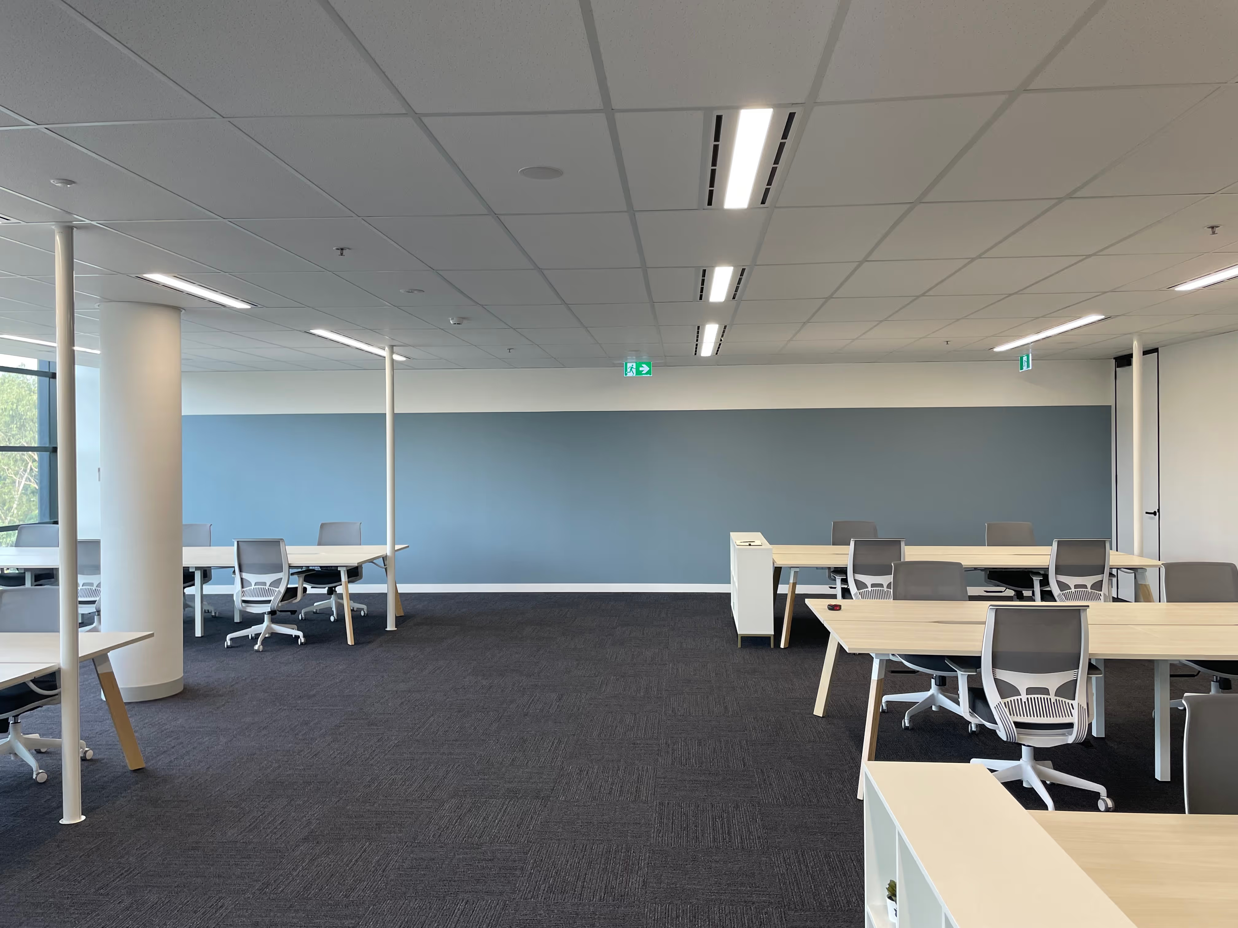 A newly painted wall in a Macquarie Park office setting