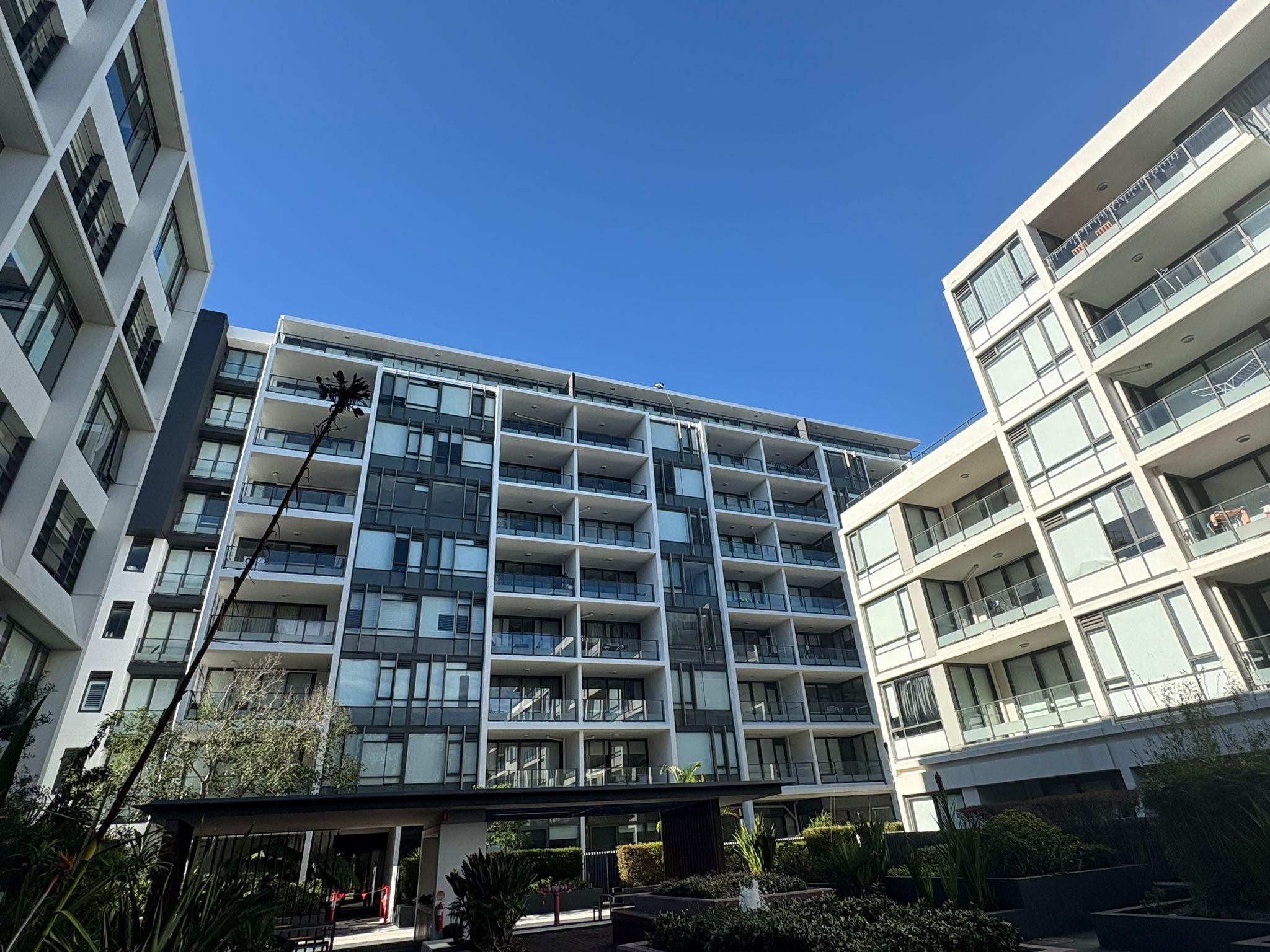 a view of a multi-building strata high rise with rope access painter working on site